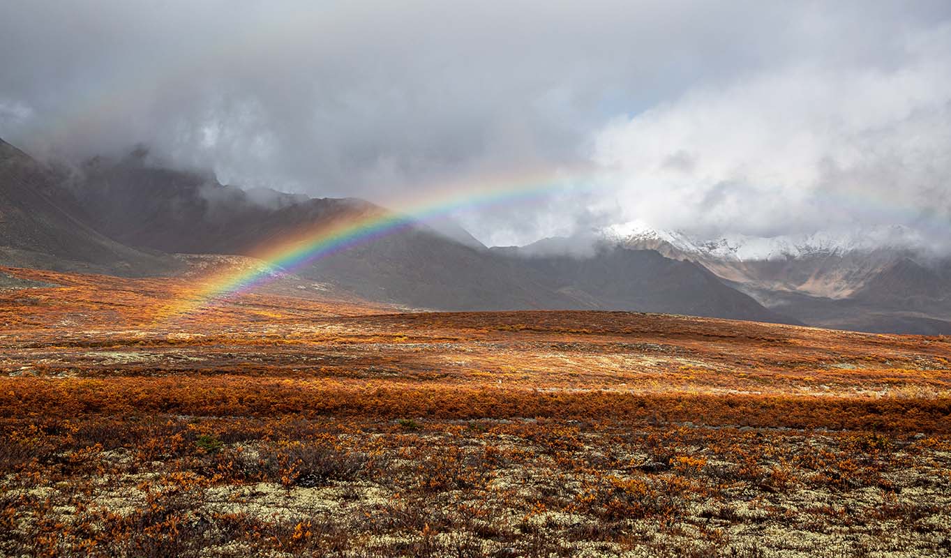 Rainbow in Tombstone Territorial Park